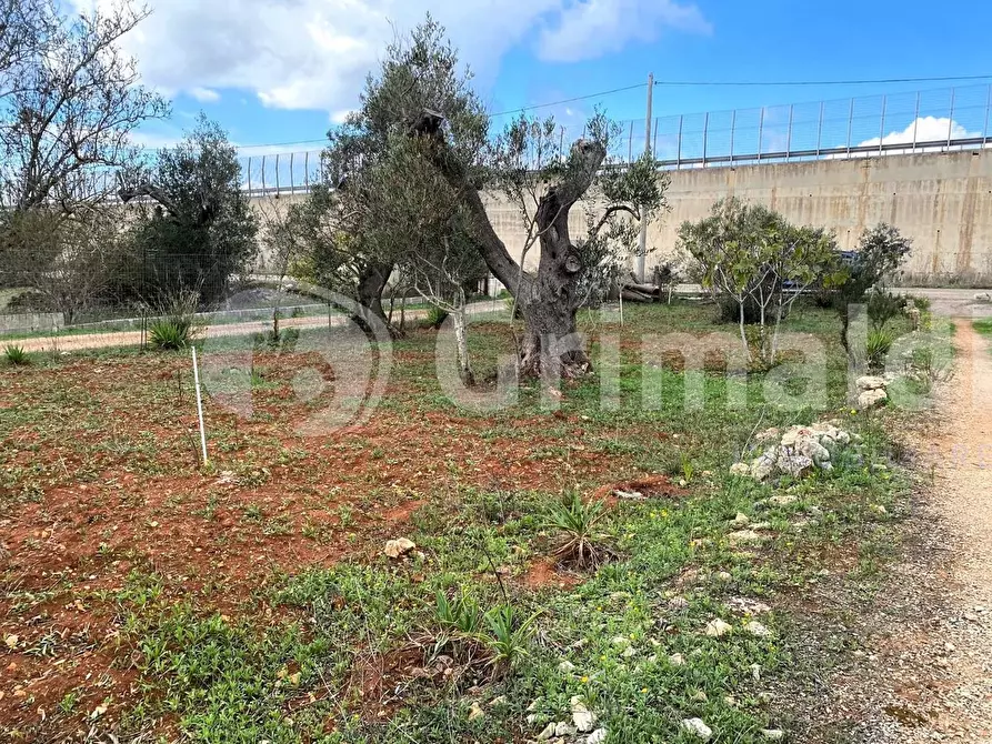 Immagine 7 di Terreno edificabile in vendita  in Santa Teresa a Sannicola
