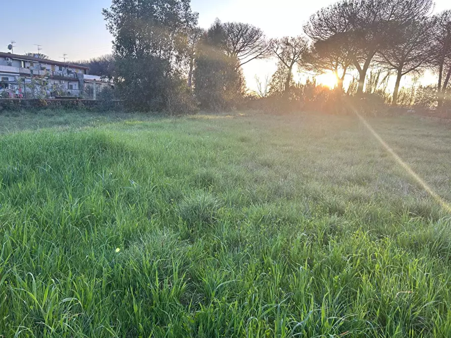 Immagine 6 di Terreno agricolo in vendita  in Via Gavi 6 a Aprilia