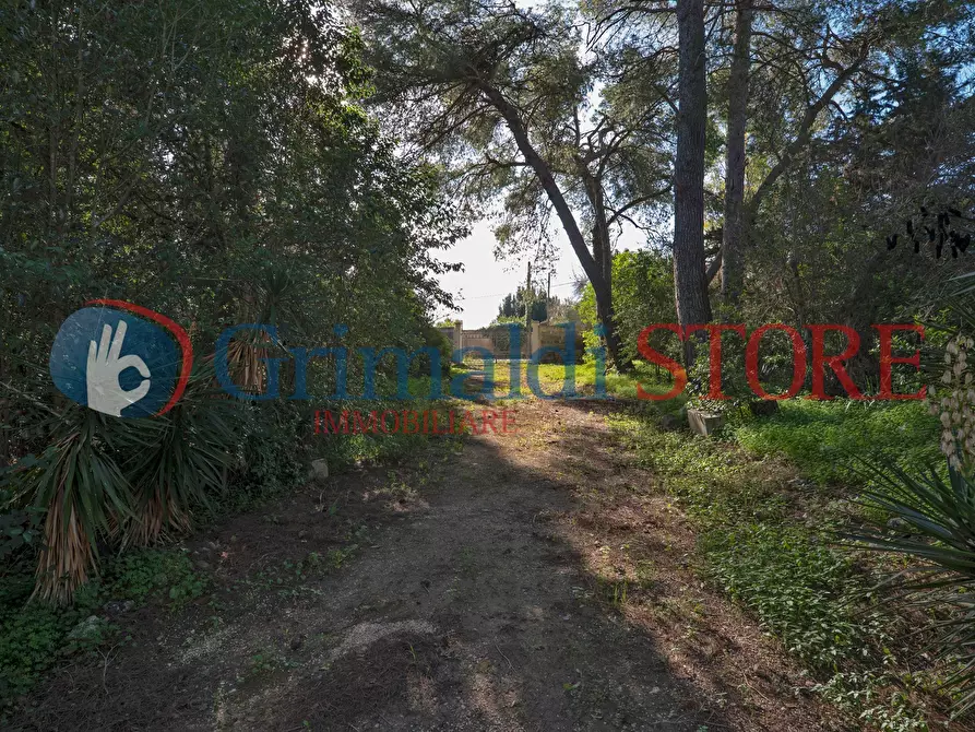 Immagine 59 di Villa in vendita  in Via San Fili 110 a Monteroni Di Lecce