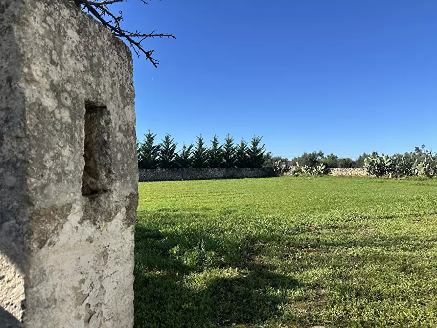 Immagine 3 di Villa in vendita  in Contrada Montestazzo 1 a Carovigno