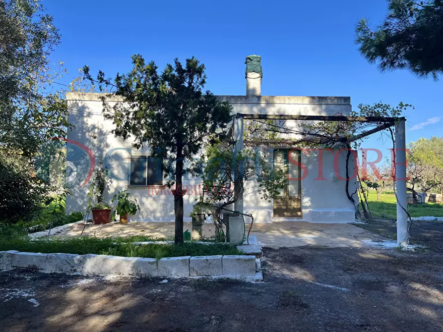 Immagine 2 di Rustico / casale in vendita  a San Vito Dei Normanni