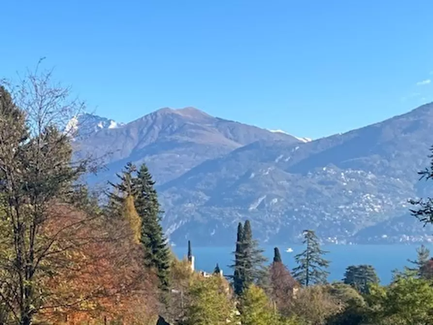 Immagine 4 di Terreno industriale in vendita  a Tremezzina