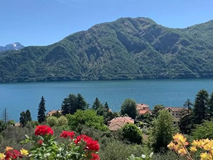 Immagine 6 di Terreno industriale in vendita  a Tremezzina