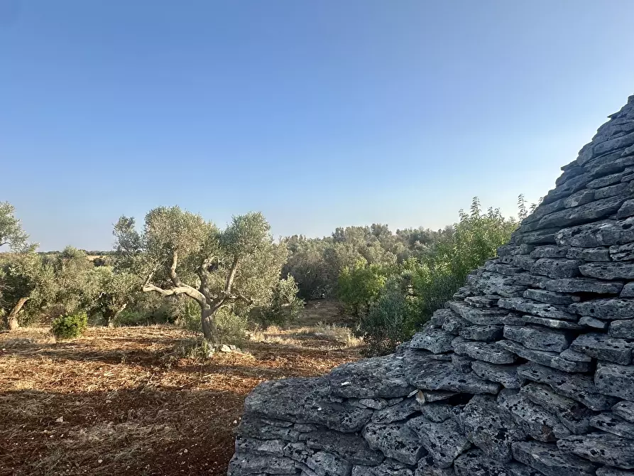 Immagine 26 di Terreno edificabile in vendita  a Ceglie Messapico