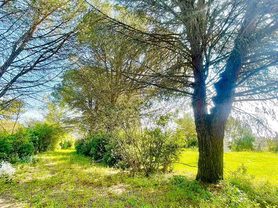 Immagine 70 di Villa in vendita  in strada provinciale 39 a Maglie