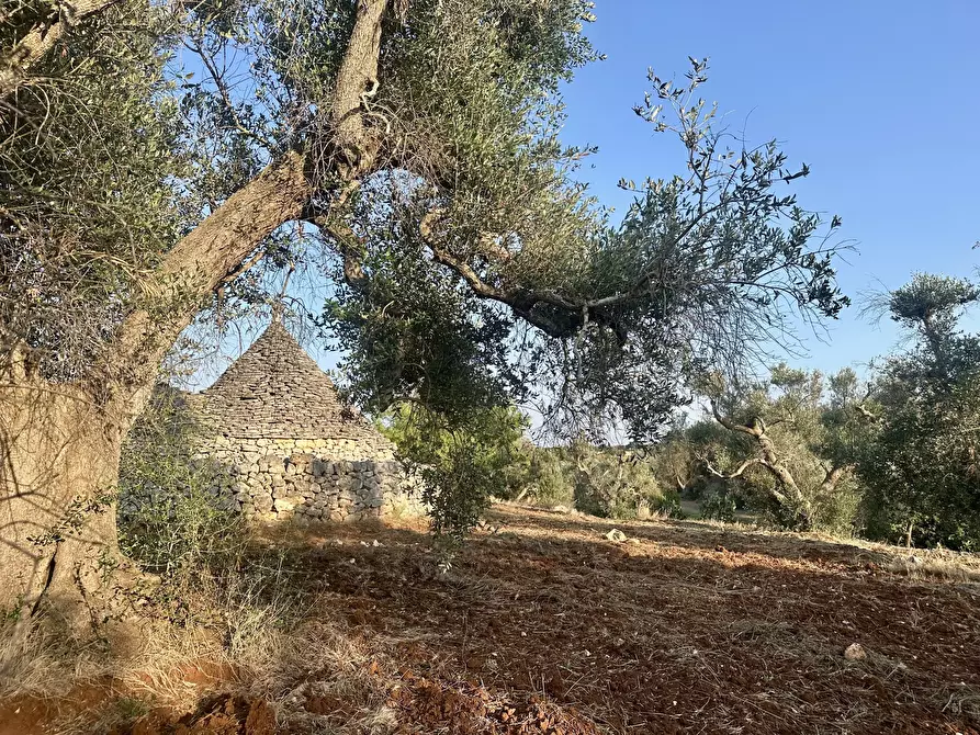 Immagine 24 di Terreno edificabile in vendita  a Ceglie Messapico