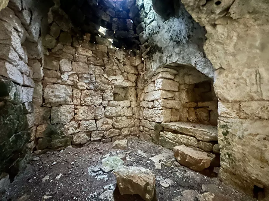 Immagine 16 di Terreno edificabile in vendita  a Ceglie Messapico