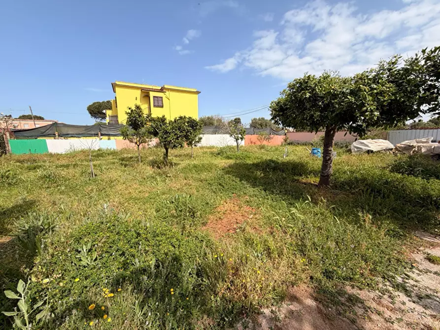 Immagine 13 di Villa in vendita  in Via Affile 12 a Nettuno