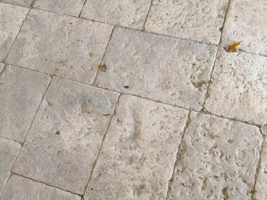 Immagine 6 di Casa indipendente in vendita  in Contrada Pisciacalze a Ceglie Messapico