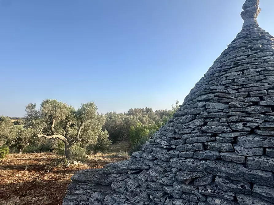 Immagine 1 di Terreno edificabile in vendita  a Ceglie Messapico