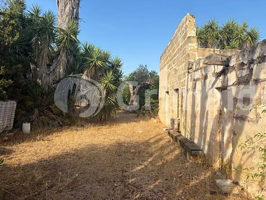 Immagine 8 di Terreno agricolo in vendita  in Contrada Coline a Alezio