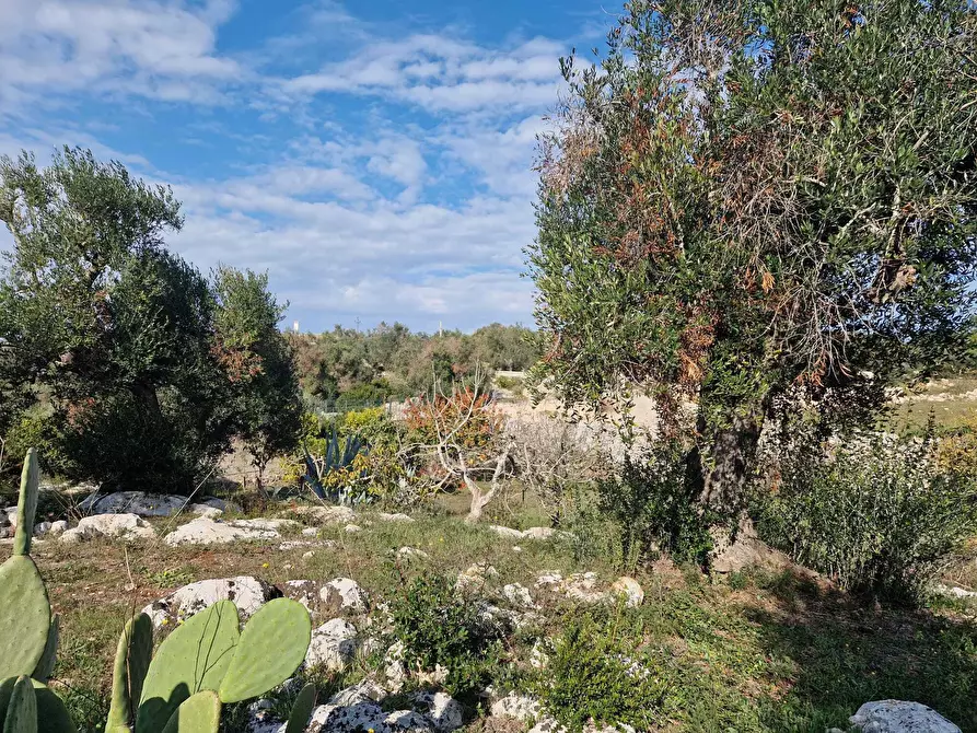 Immagine 9 di Casa indipendente in vendita  a Ostuni