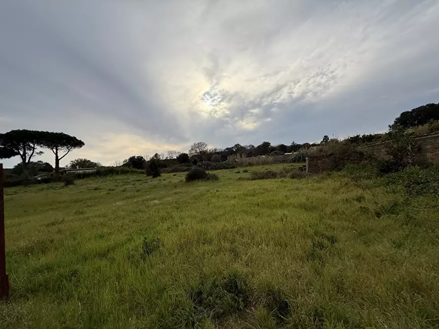 Immagine 4 di Terreno edificabile in vendita  in VIA CENTOCELLE 1 a Anzio