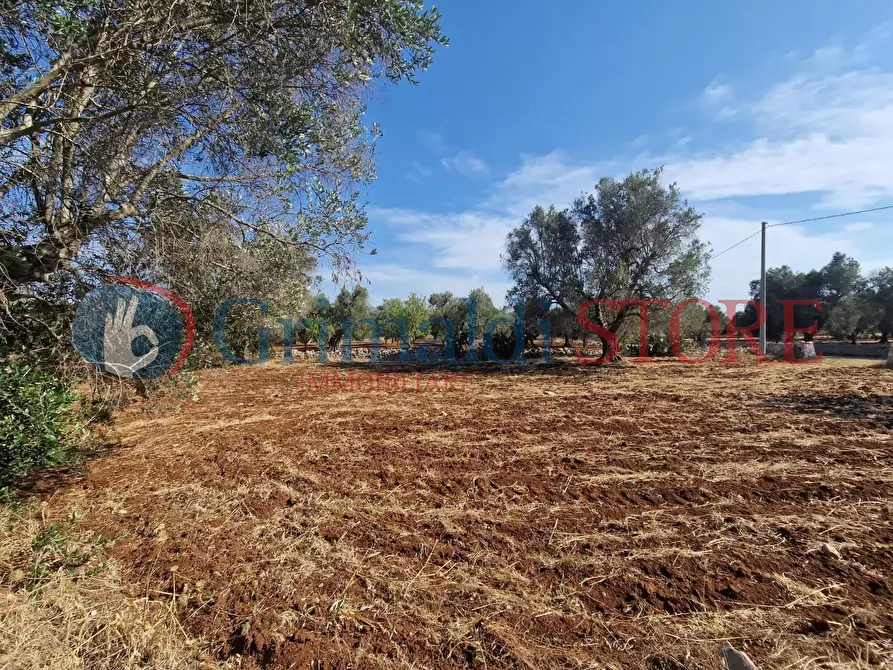 Immagine 9 di Terreno agricolo in vendita  a Latiano