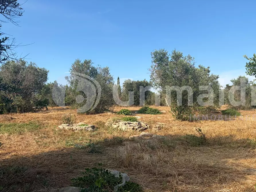 Immagine 30 di Terreno agricolo in vendita  in Contrada Coline a Alezio