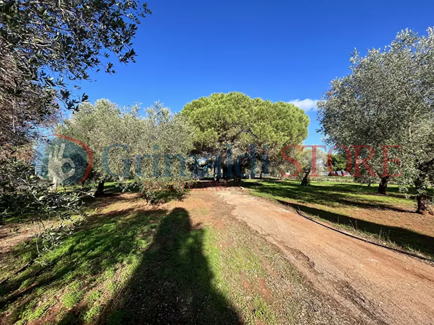 Immagine 40 di Rustico / casale in vendita  a San Vito Dei Normanni