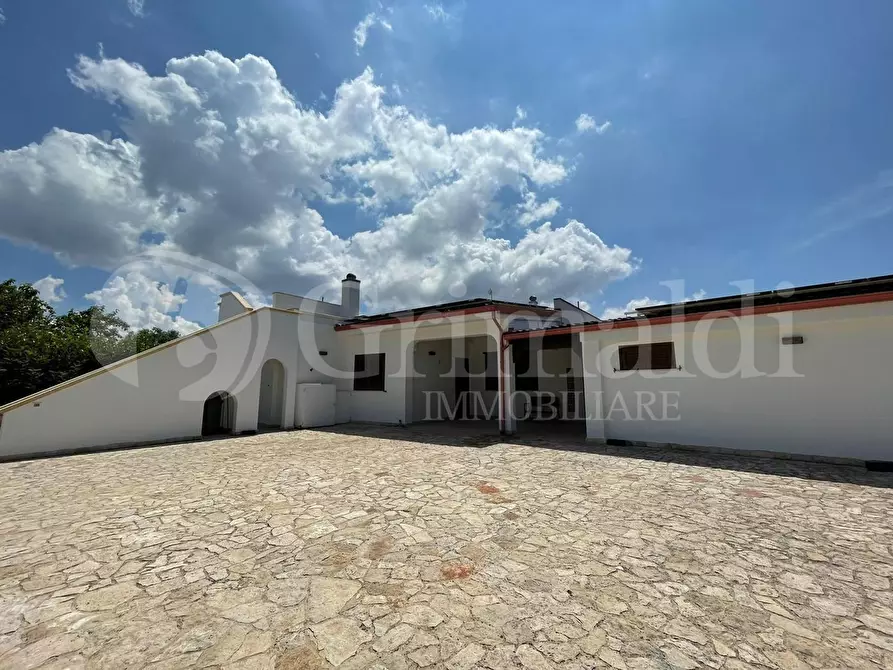 Immagine 4 di Villa in vendita  in strada vicinale contrada pontuso a Matino
