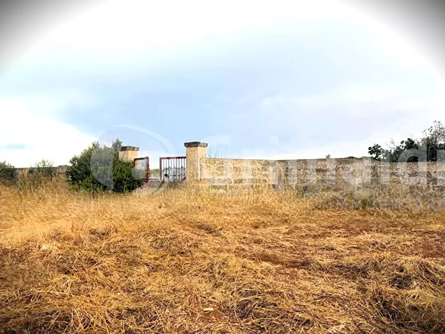 Immagine 5 di Terreno agricolo in vendita  in Strada Statale 274 a Gallipoli