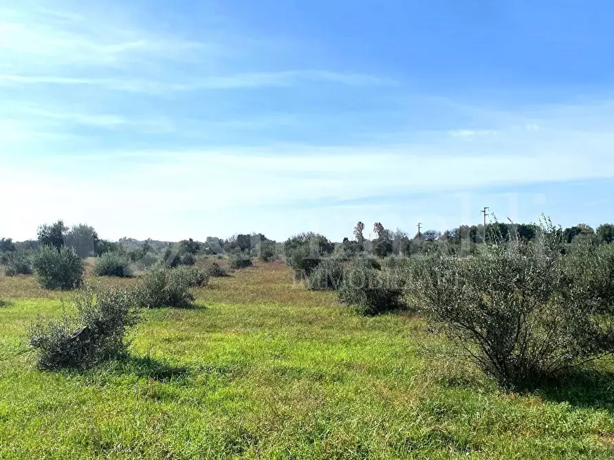 Immagine 18 di Villa in vendita  in contrada tisciano a Tuglie