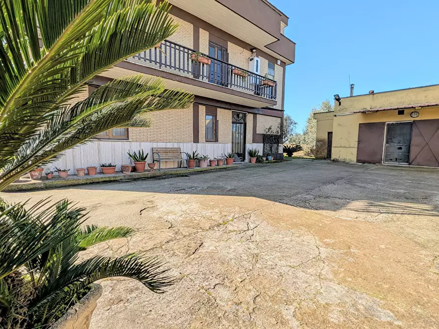 Immagine 2 di Villa in vendita  in Via Granieri 56 a Nettuno