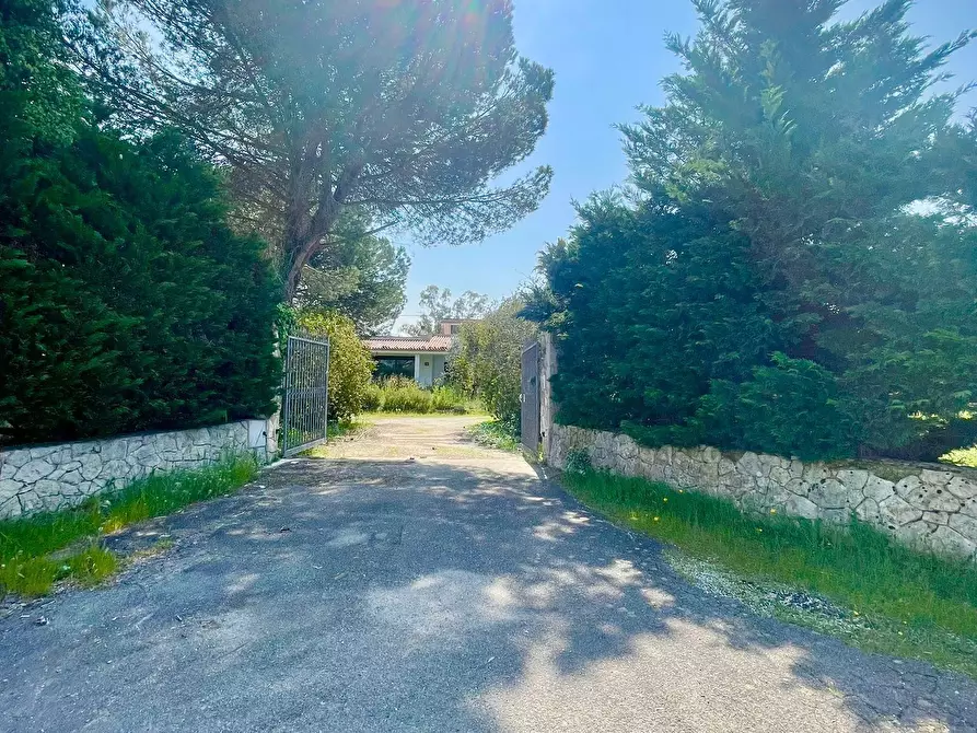 Immagine 68 di Villa in vendita  in strada provinciale 39 a Maglie