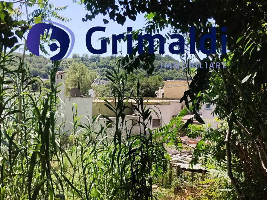 Immagine 12 di Terreno agricolo in vendita  in Corsa Regina Elena SNC a Barano D'ischia