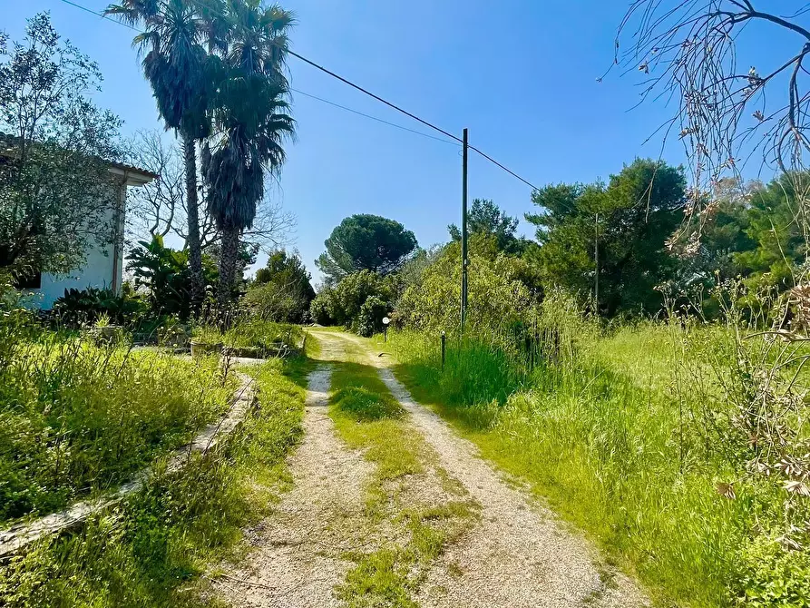 Immagine 86 di Villa in vendita  in strada provinciale 39 a Maglie