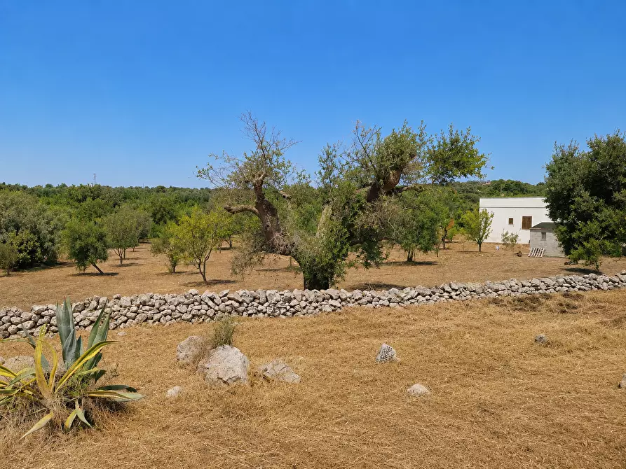 Immagine 7 di Terreno agricolo in vendita  in Contrada San Benedetto a Ostuni