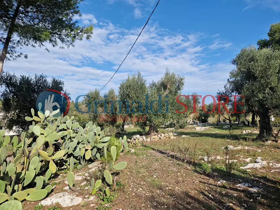 Immagine 10 di Casa indipendente in vendita  a Ostuni