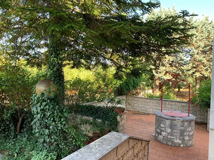 Immagine 11 di Villa in vendita  in Contrada Gorgofreddo a Monopoli