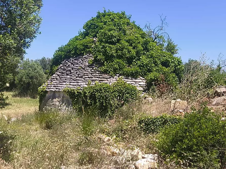 Immagine 6 di Casa indipendente in vendita  in Contrada Balice a Monopoli