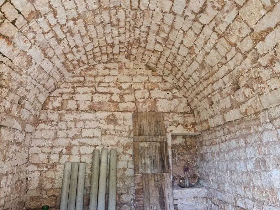 Immagine 6 di Rustico / casale in vendita  in C.da Peroscia a Monopoli
