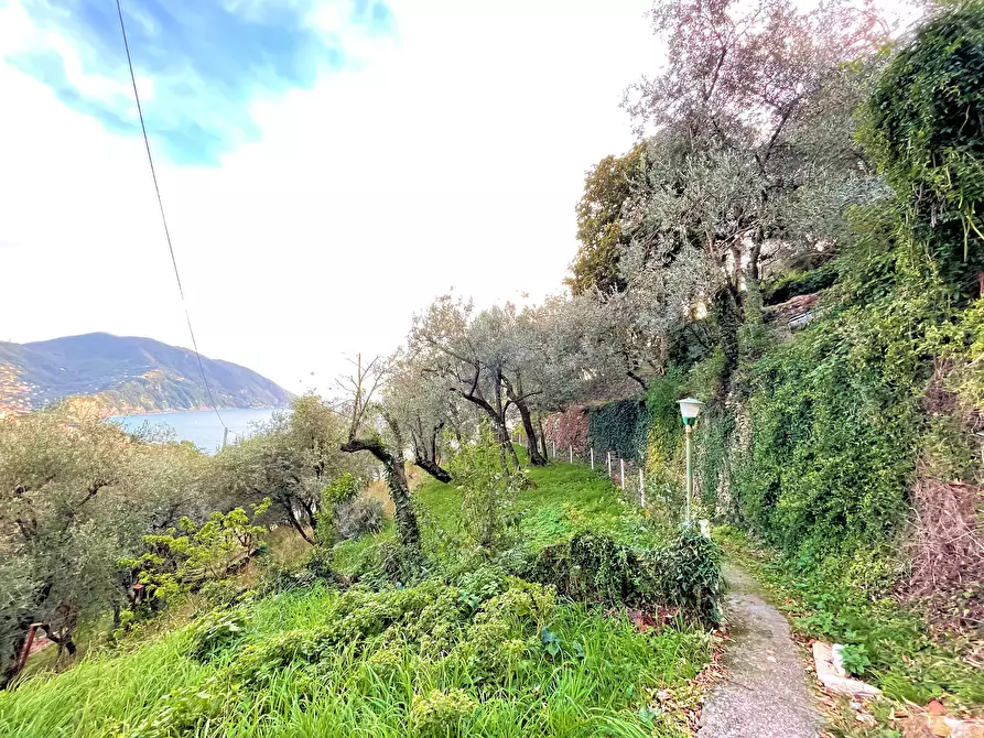Immagine 4 di Terreno edificabile in vendita  in Via alla Pineta 2 a Recco