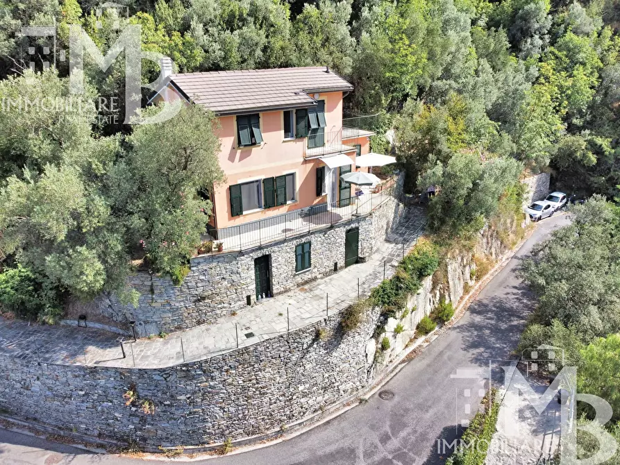 Immagine 21 di Casa indipendente in vendita  in Via Pietrafitta 1 a Avegno