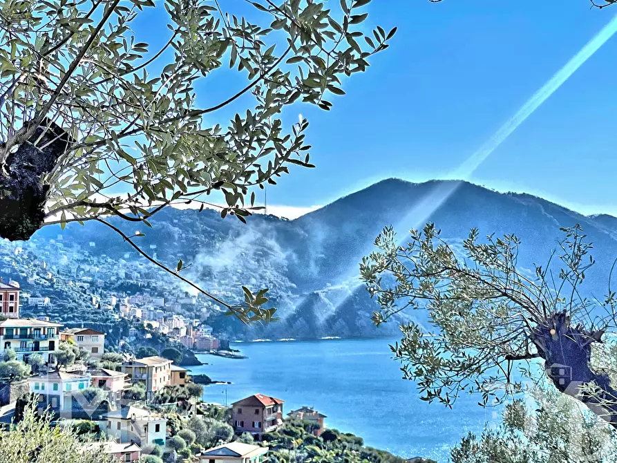 Immagine 2 di Casa indipendente in vendita  in VIA DEL CASTELLO 32 a Recco