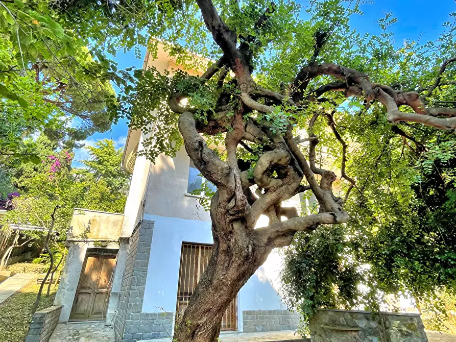 Immagine 18 di Casa indipendente in vendita  a Recco