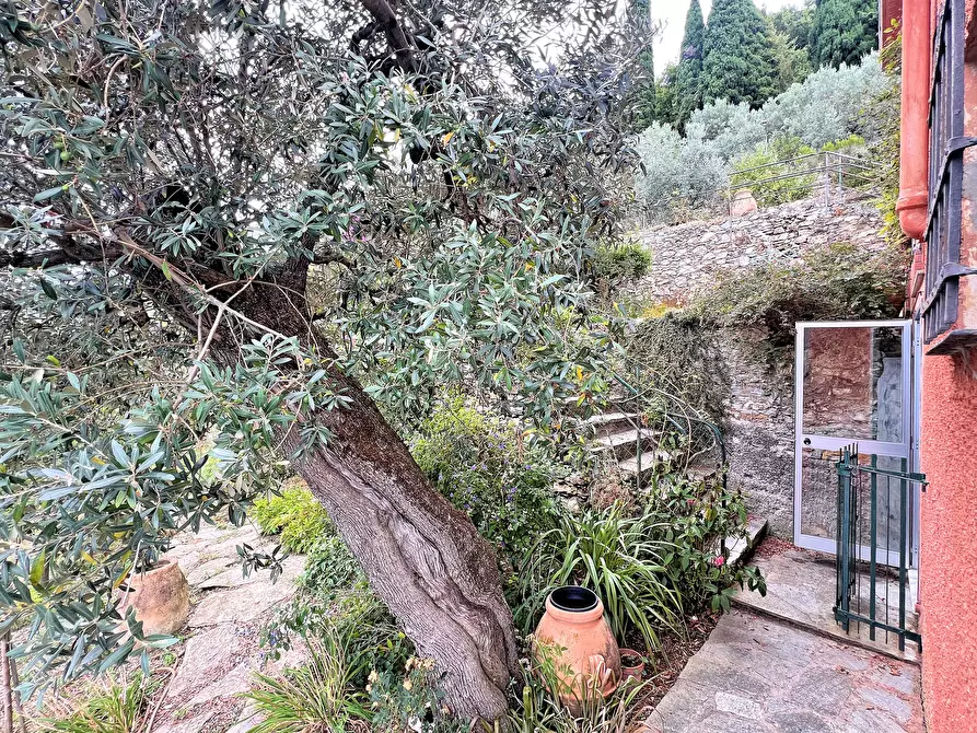 Immagine 27 di Casa semindipendente in vendita  in Frazione Sant'Apollinare 3 a Sori