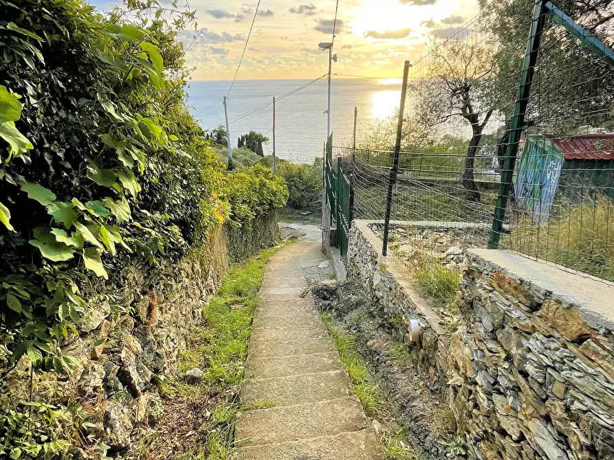 Immagine 6 di Terreno edificabile in vendita  in Via alla Pineta 2 a Recco