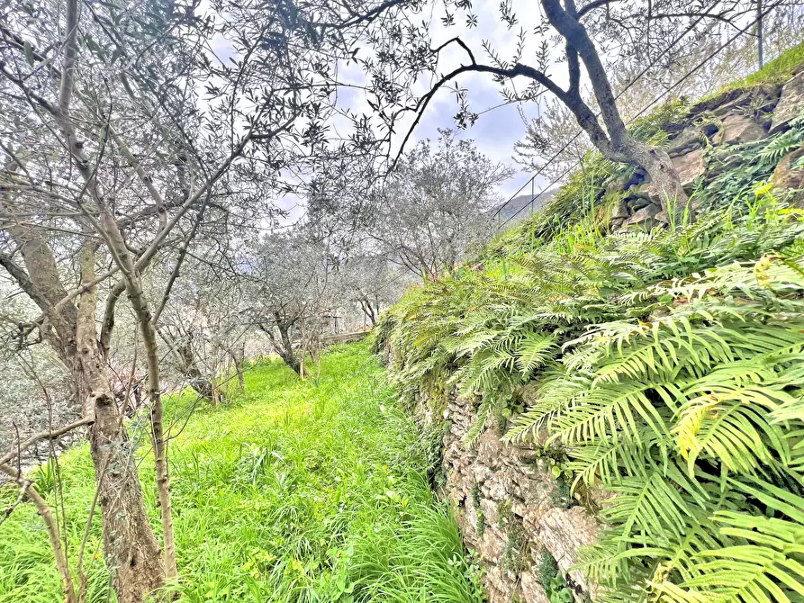 Immagine 8 di Magazzino in vendita  in Frazione Capreno a Sori