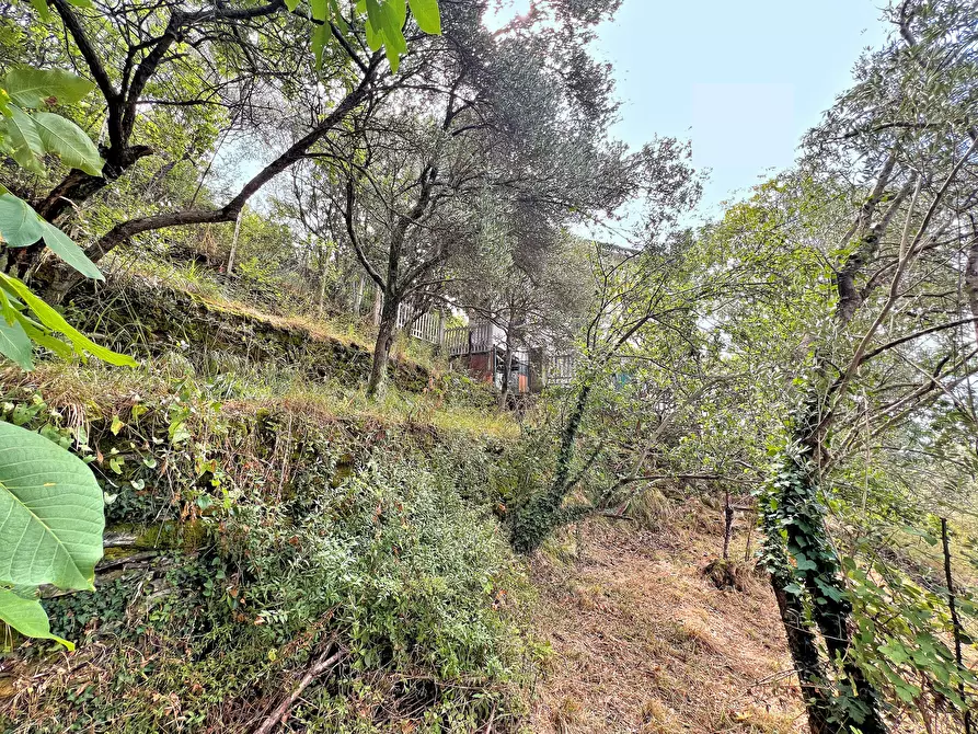 Immagine 32 di Casa indipendente in vendita  in Via Cappelletta 37 a Avegno