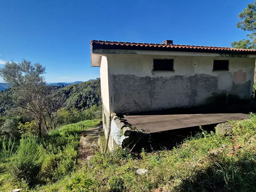 Immagine 18 di Rustico / casale in vendita  a Sarzana