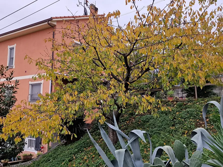 Immagine 5 di Villa in vendita  in Via Morucciola a Arcola