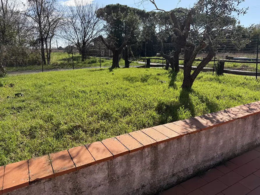 Immagine 5 di Trilocale in affitto  a Ameglia