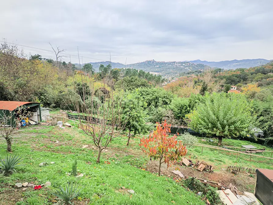 Immagine 26 di Villa in vendita  in Via Morucciola a Arcola