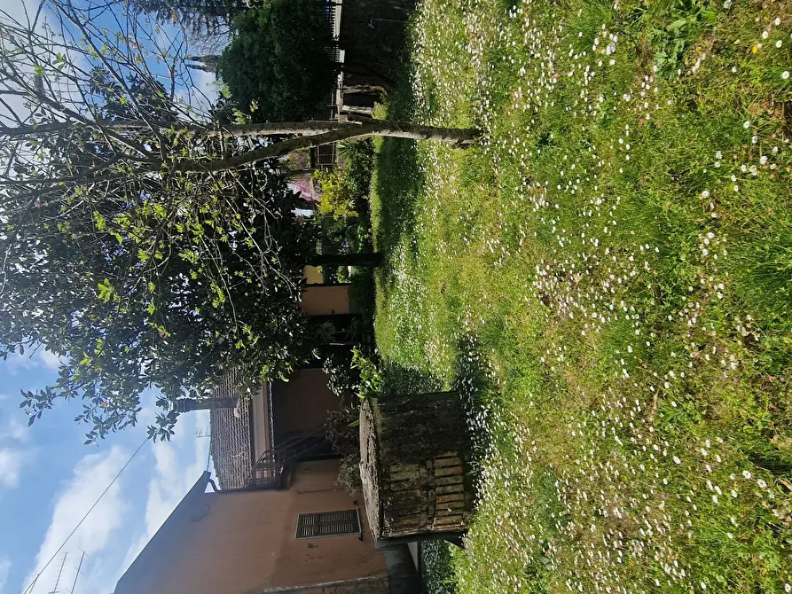 Immagine 36 di Casa indipendente in vendita  a Sarzana