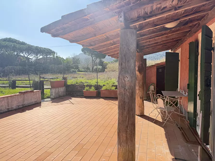 Immagine 3 di Trilocale in affitto  a Ameglia