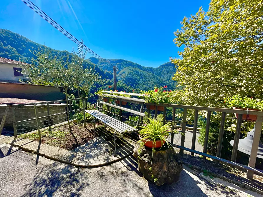Immagine 45 di Casa indipendente in vendita  a Stazzema
