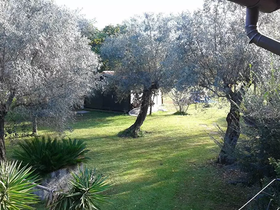 Immagine 15 di Villa in vendita  a Seravezza