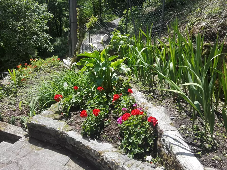 Immagine 22 di Casa indipendente in vendita  a Stazzema