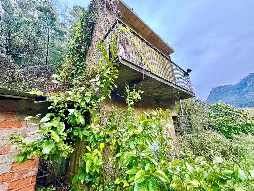 Immagine 40 di Terratetto in vendita  a Seravezza